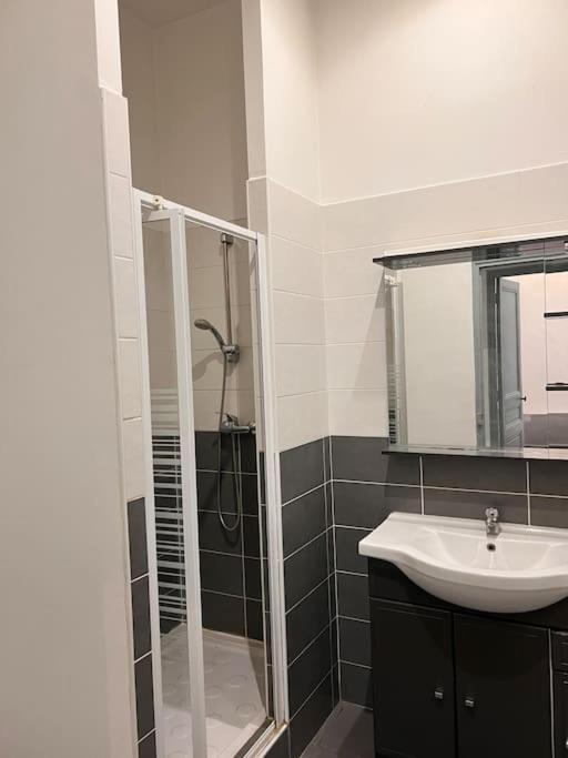 Apartment Spacieux T4 Avec Cours Privee