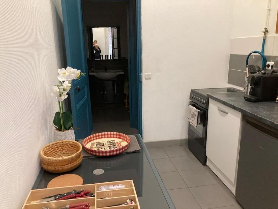 Apartment Spacieux T4 Avec Cours Privee